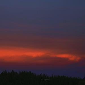 青娱乐国产在线
