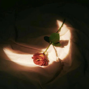 青娱乐国产在线
