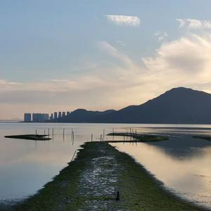 青娱乐国产在线
