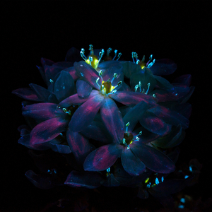 青娱乐国产在线
